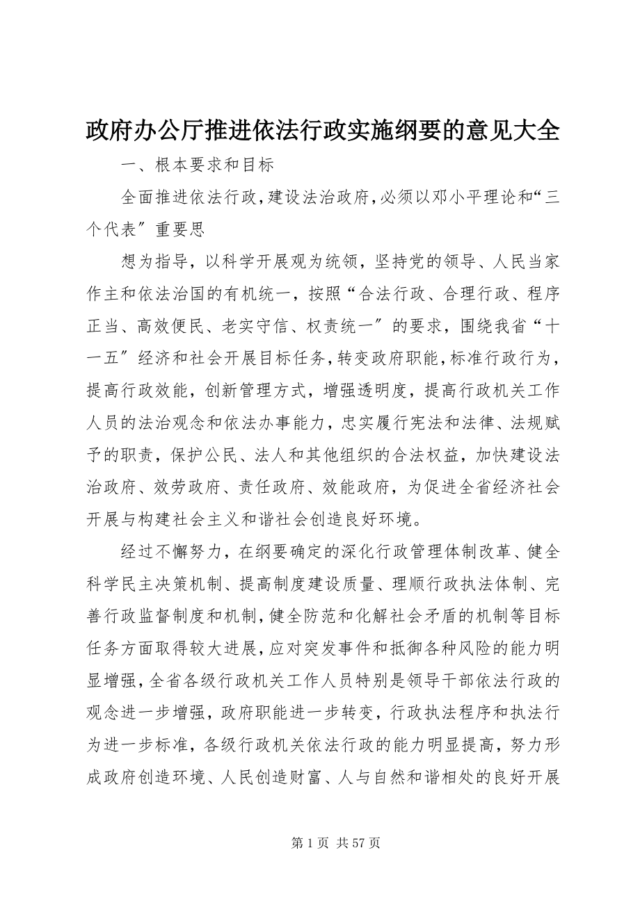 2023年政府办公厅推进依法行政实施纲要的意见大全.docx_第1页