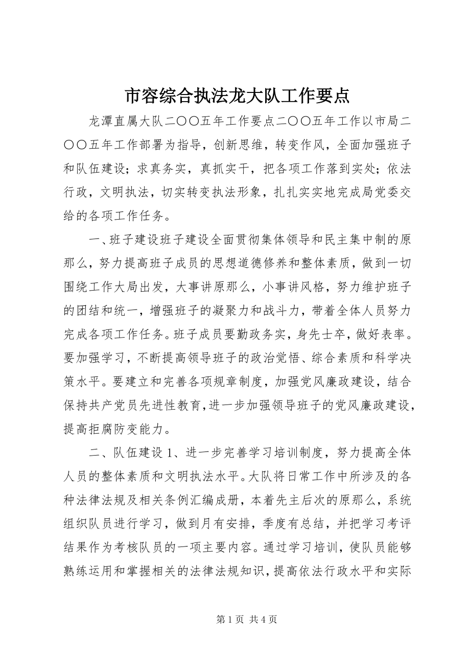 2023年市容综合执法龙大队工作要点.docx_第1页