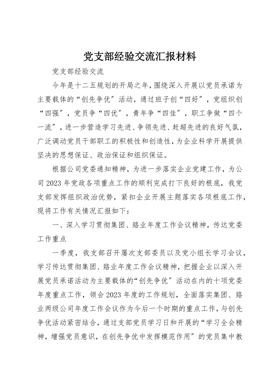 2023年党支部经验交流汇报材料.docx_第1页