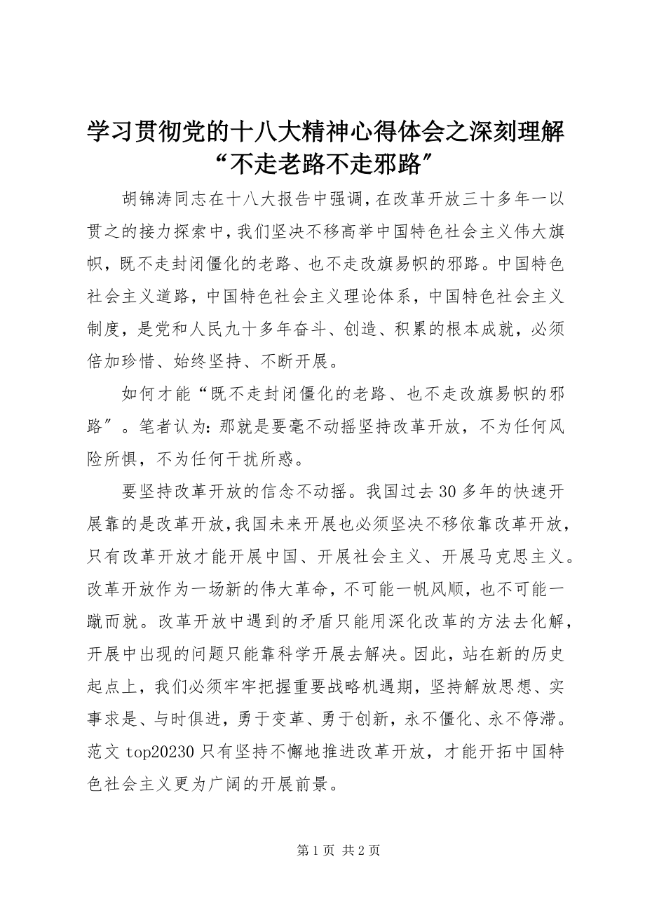 2023年学习贯彻党的十八大精神心得体会之深刻理解“不走老路不走邪路”.docx_第1页