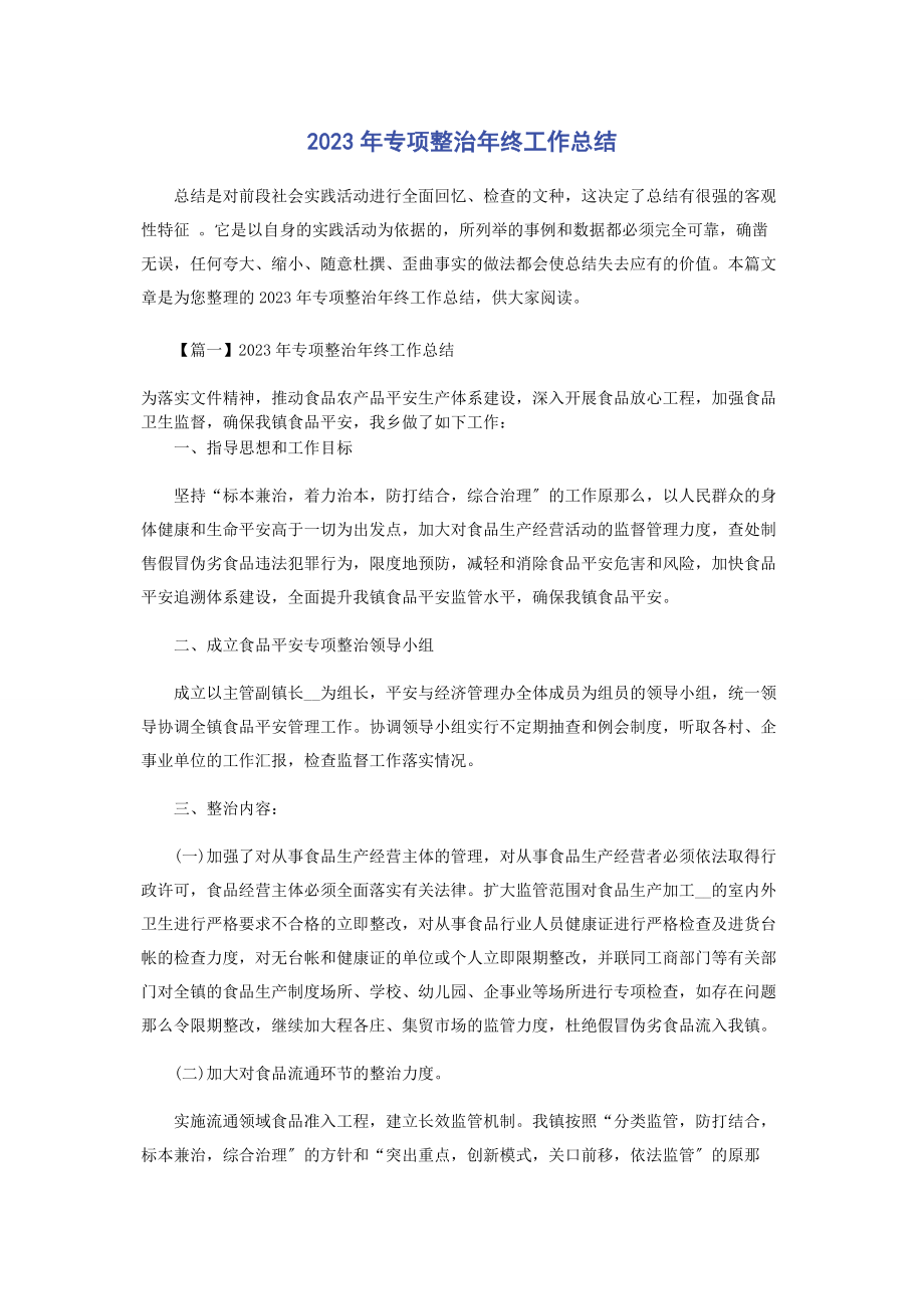 2023年专项整治终工作总结.docx_第1页