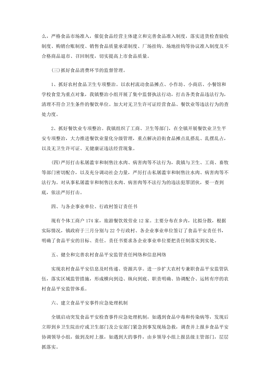 2023年专项整治终工作总结.docx_第2页