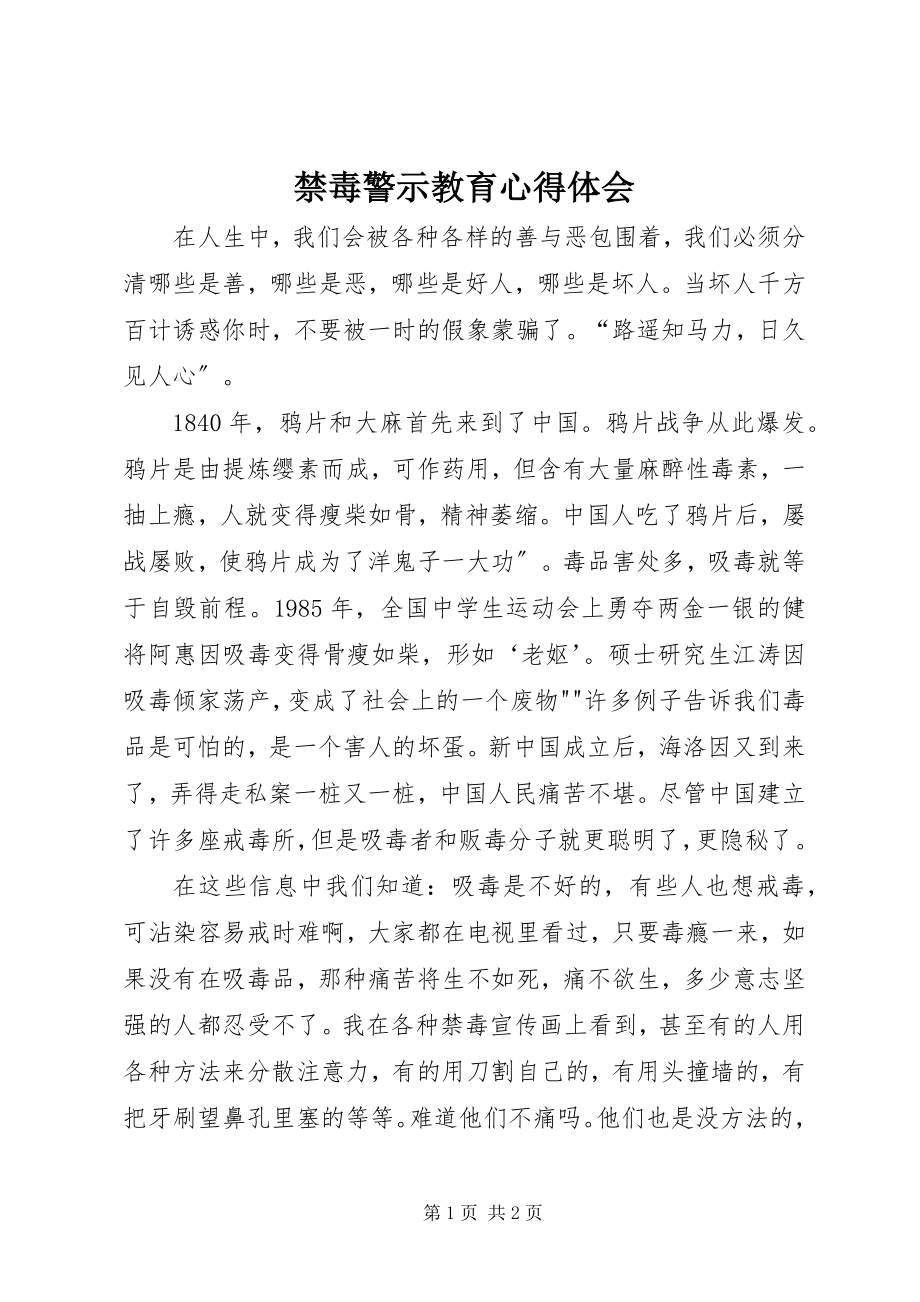 2023年禁毒警示教育心得体会.docx_第1页