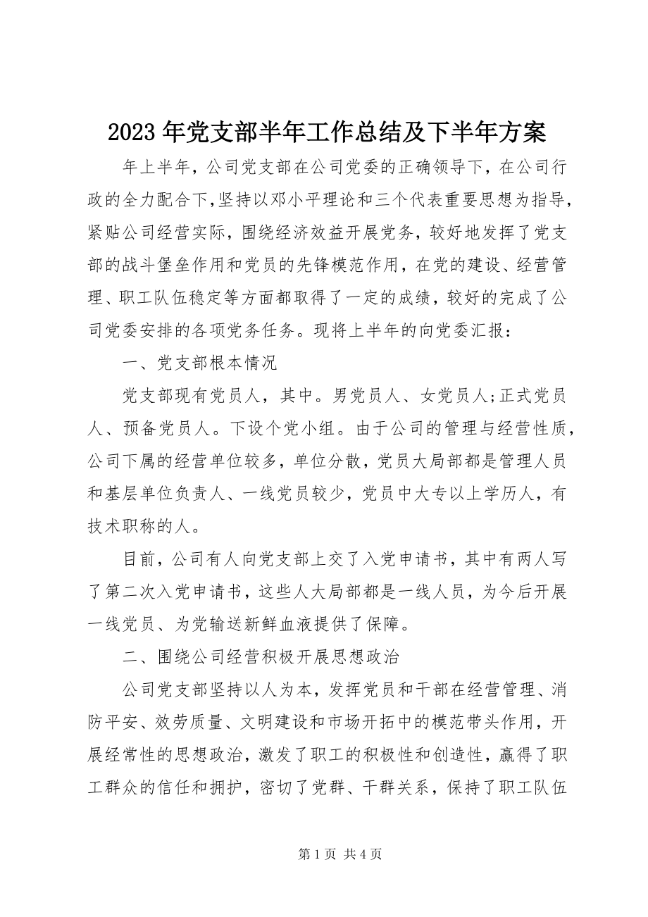 2023年党支部半工作总结及下半计划.docx_第1页