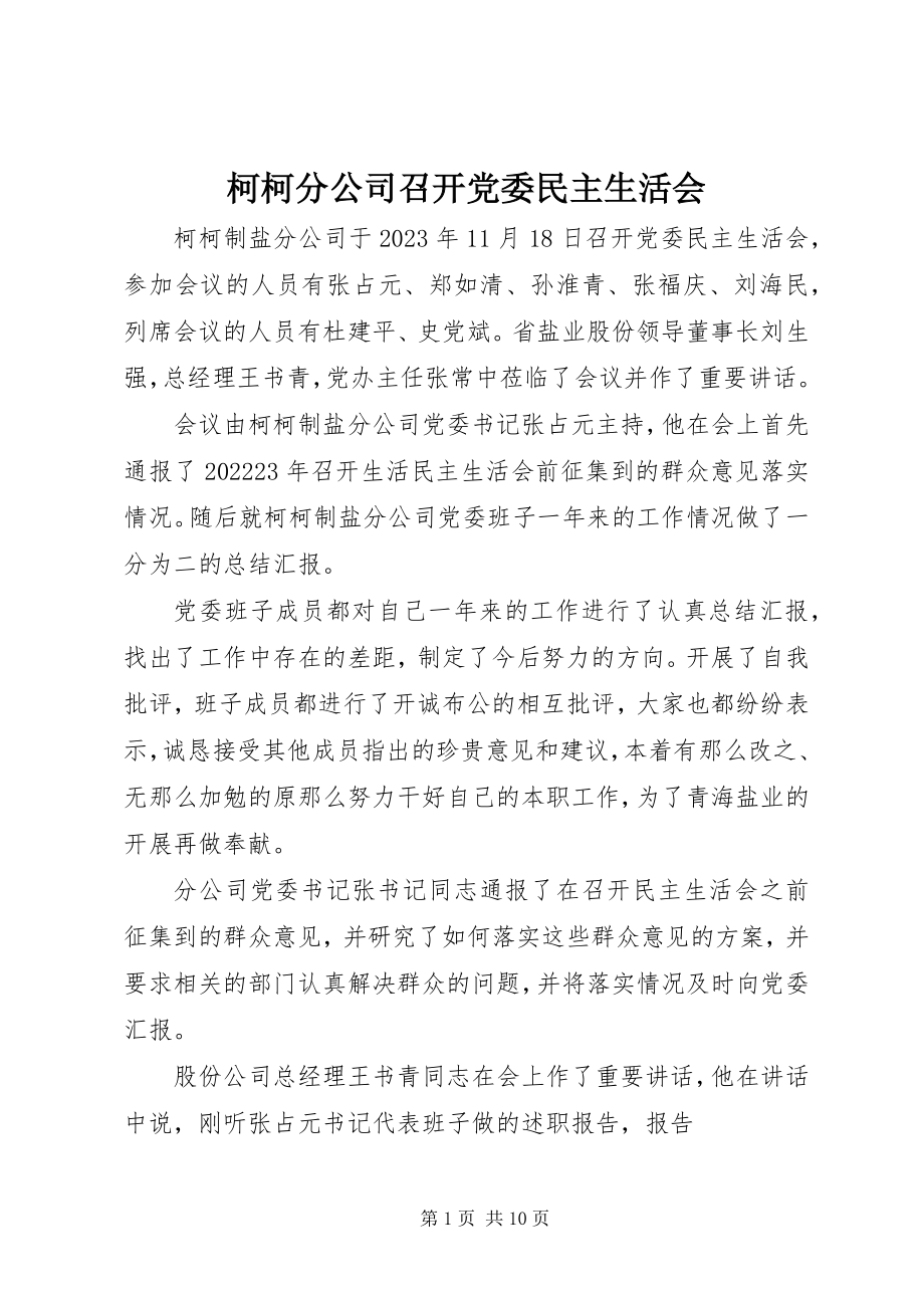 2023年柯柯分公司召开党委民主生活会.docx_第1页