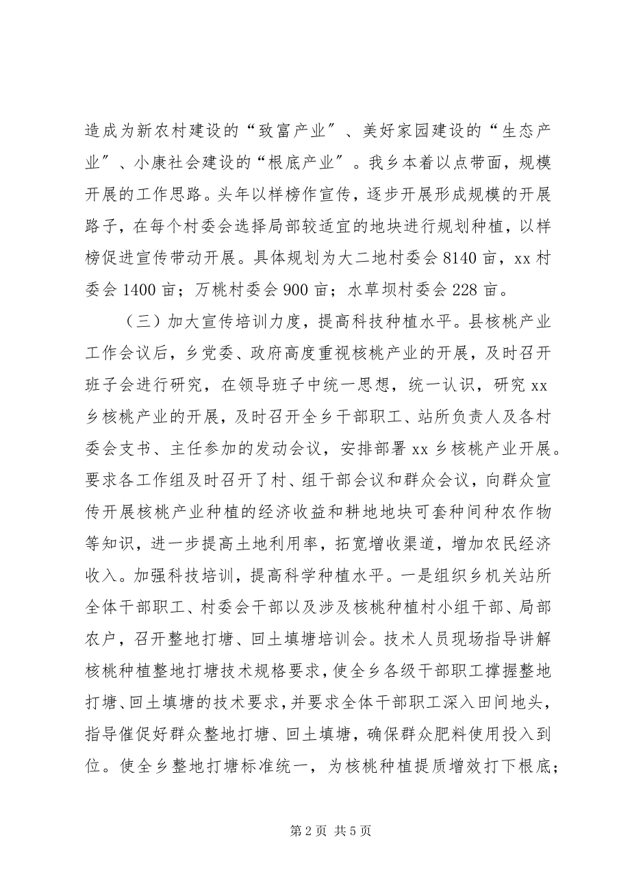 2023年我乡核桃种植状况工作汇报.docx_第2页