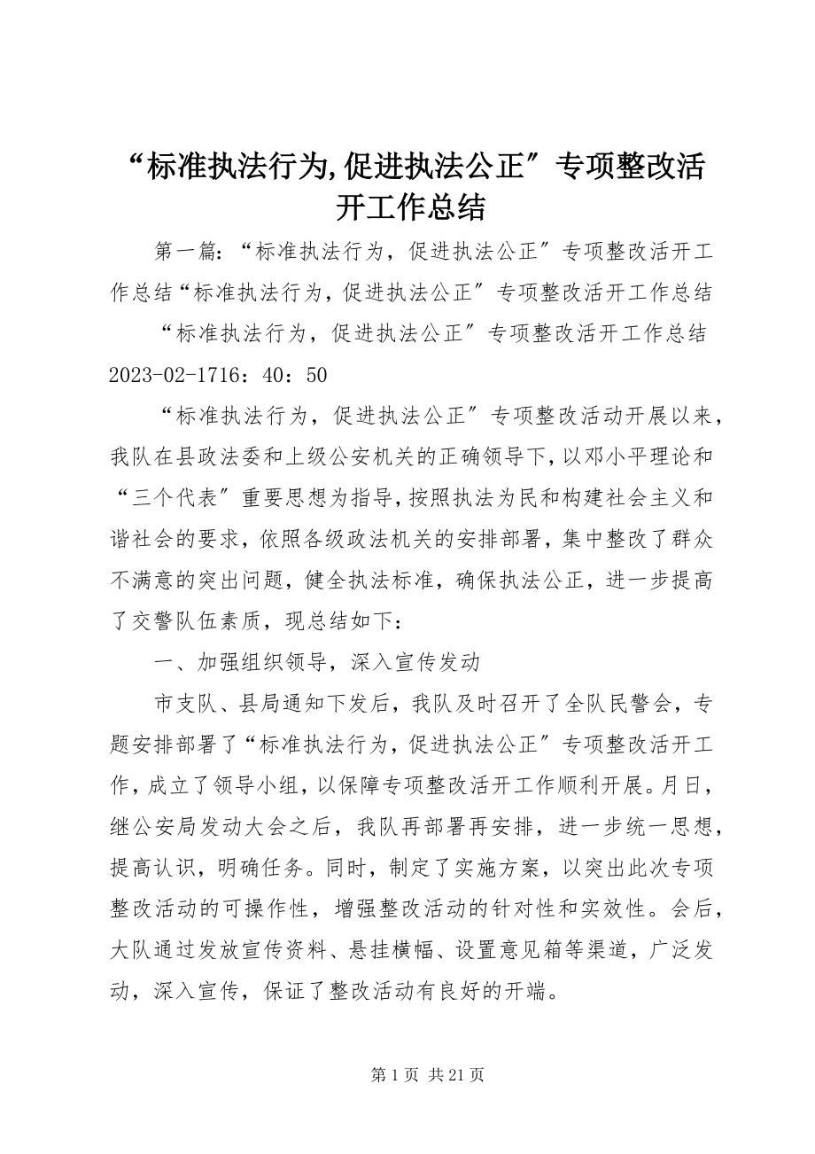 2023年规范执法行为促进执法公正专项整改活动工作总结.docx_第1页