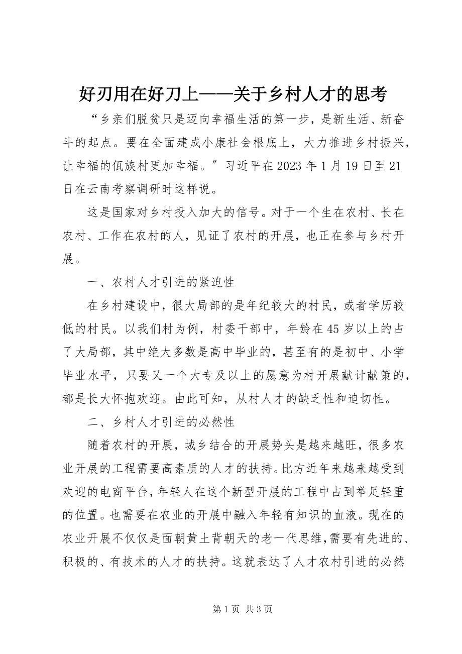 2023年好刃用在好刀上乡村人才的思考.docx_第1页