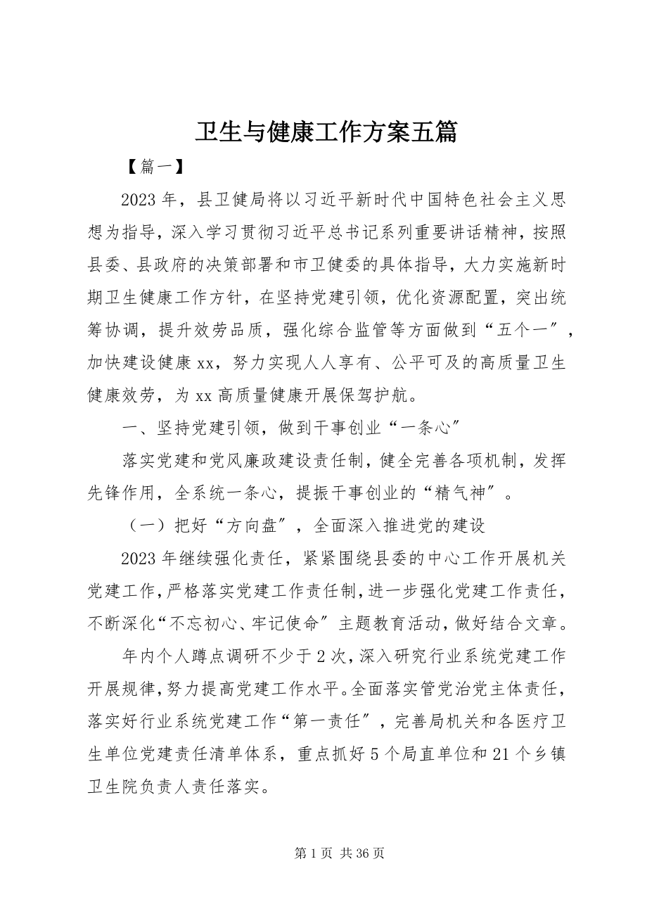 2023年卫生与健康工作计划五篇.docx_第1页