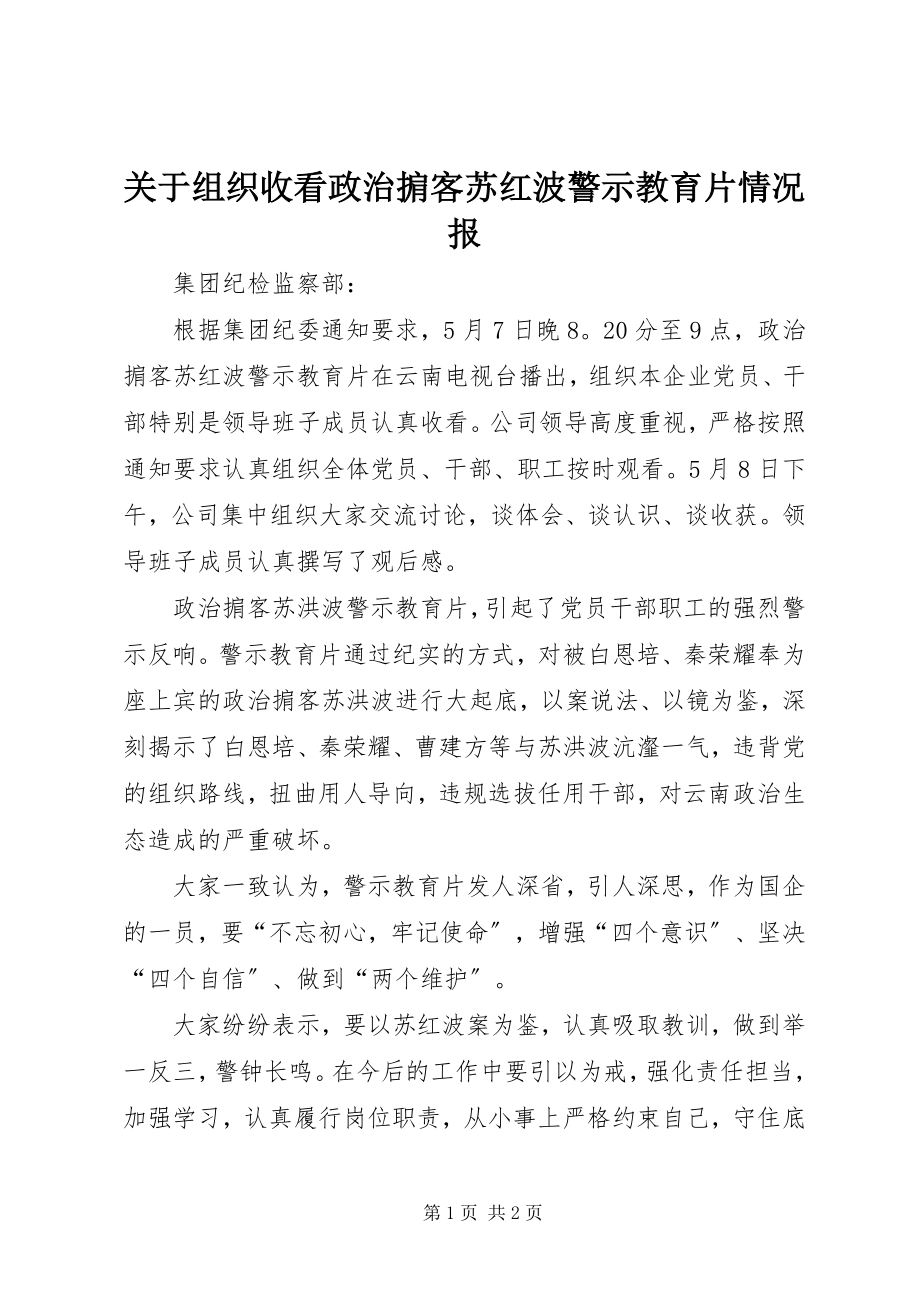 2023年组织收看《政治掮客苏红波》警示教育片情况报.docx_第1页