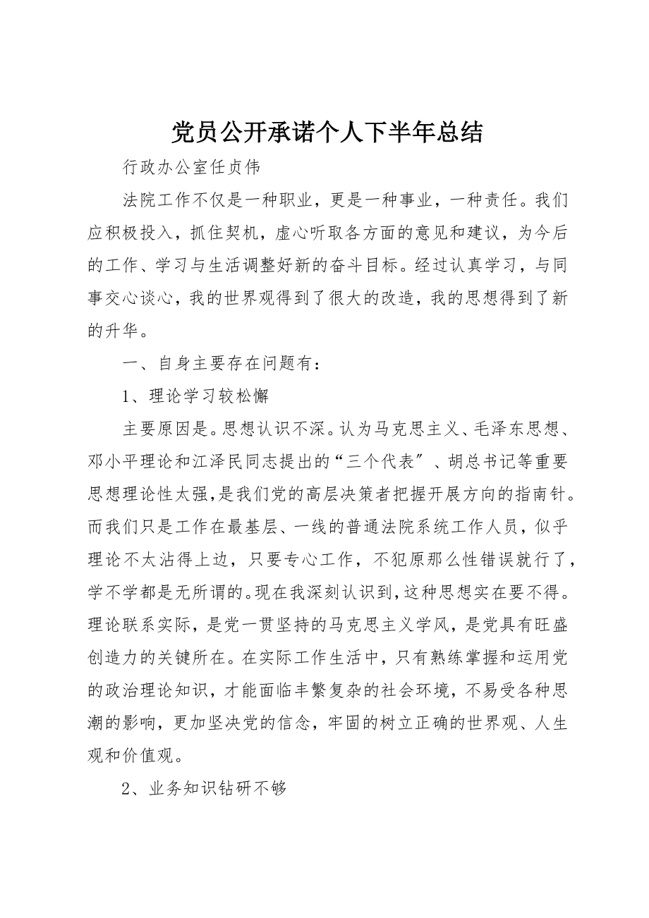 2023年党员公开承诺个人下半年总结.docx_第1页