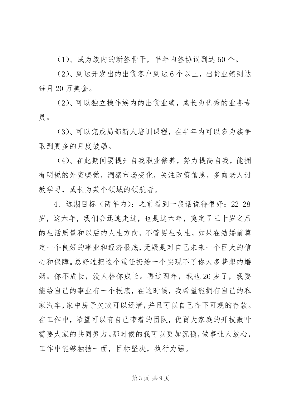 2023年职业目标或规划.docx_第3页