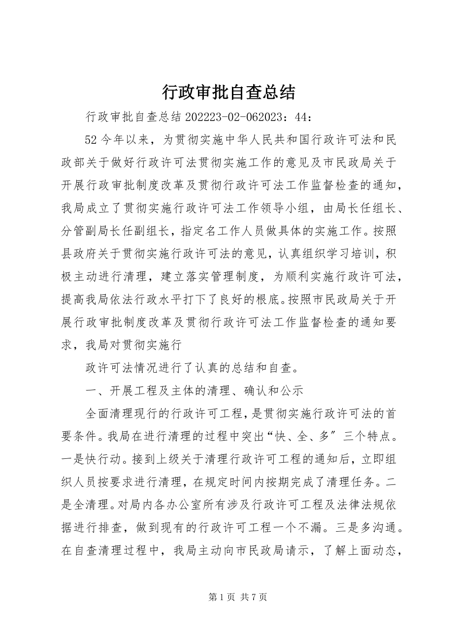 2023年行政审批自查总结.docx_第1页