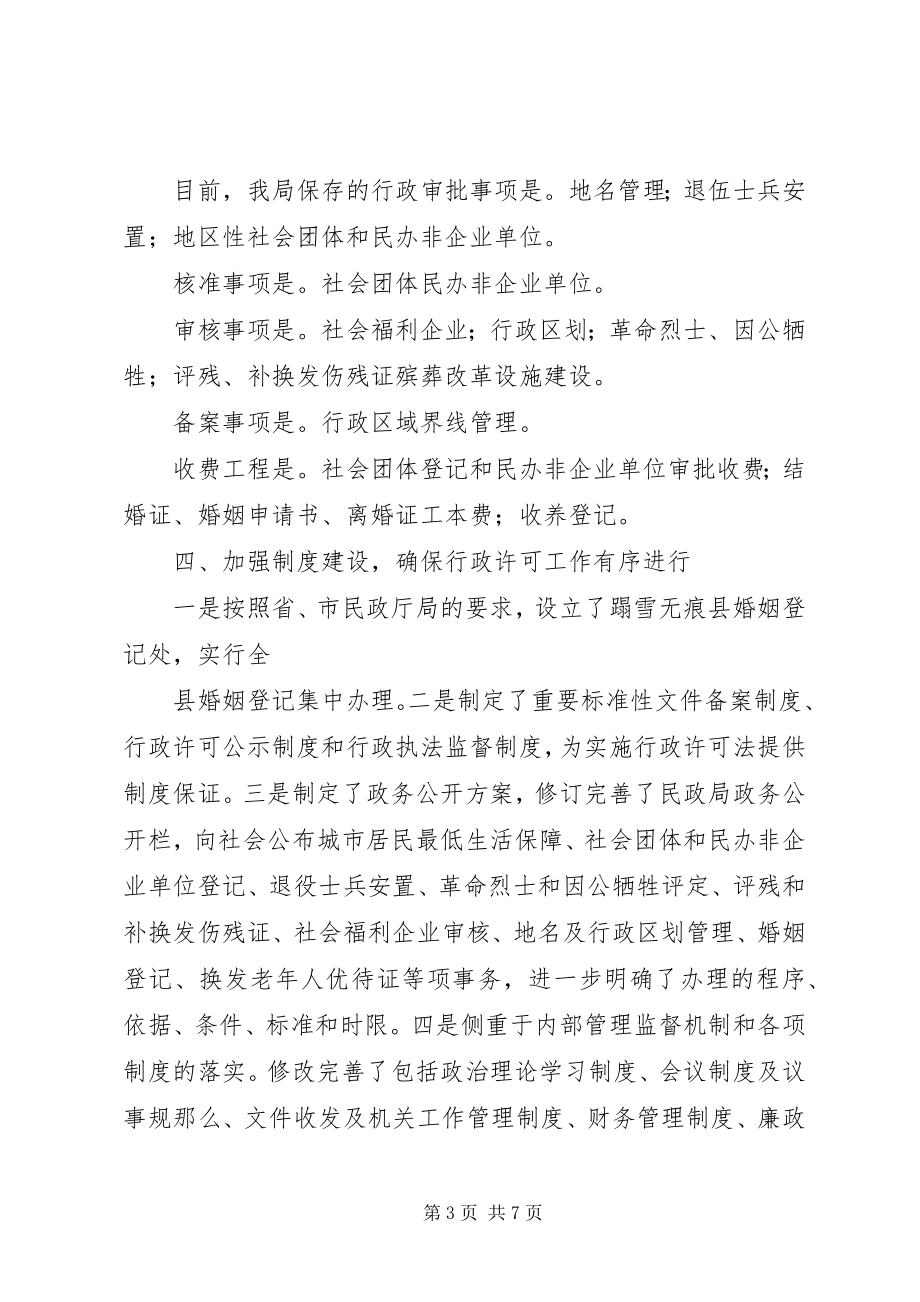 2023年行政审批自查总结.docx_第3页