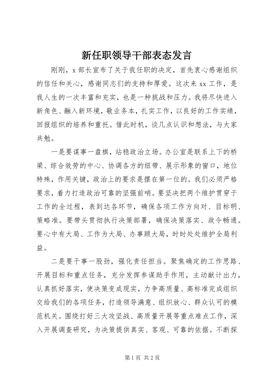 2023年新任职领导干部表态讲话.docx_第1页