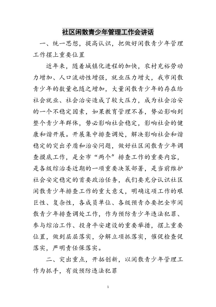 2023年社区闲散青少年管理工作会讲话范文.doc_第1页