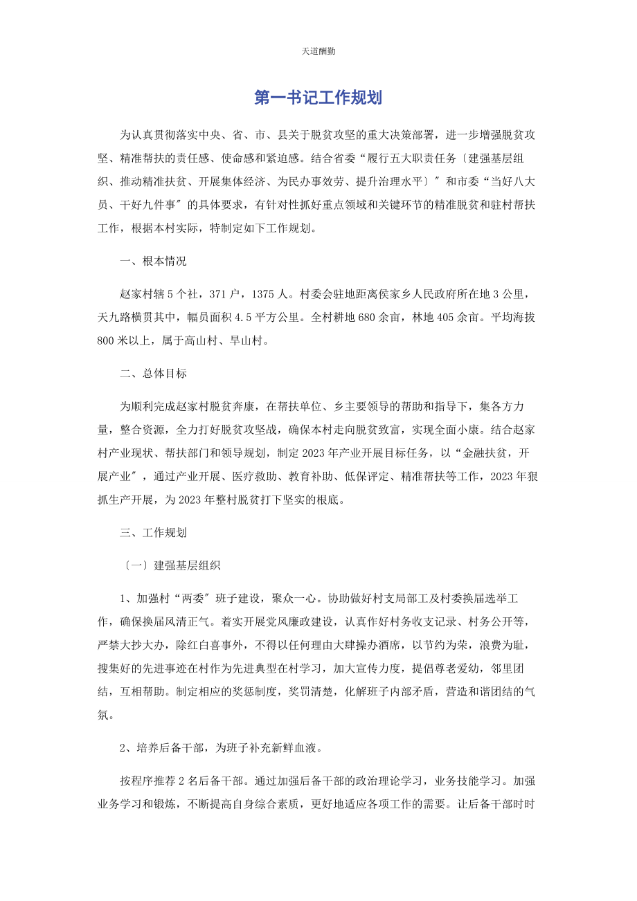 2023年第书记工作规划范文.docx_第1页