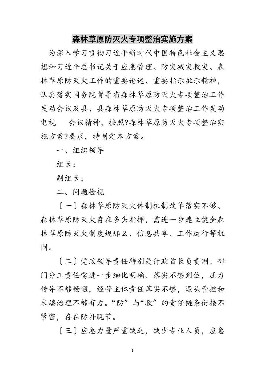 2023年森林草原防灭火专项整治实施方案范文.doc_第1页