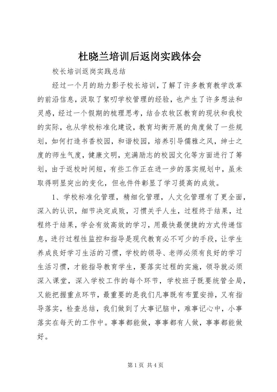 2023年杜晓兰培训后返岗实践体会.docx_第1页