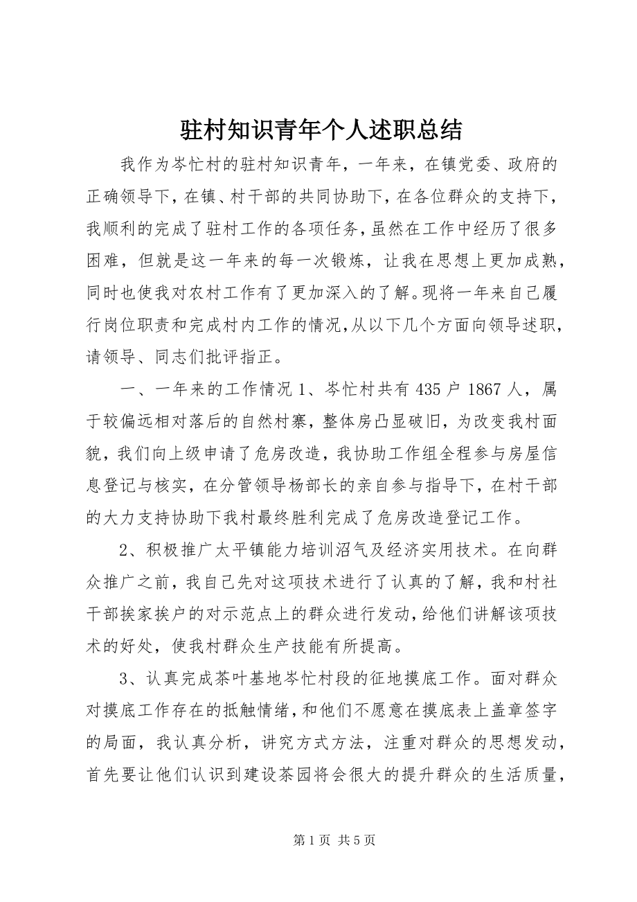 2023年驻村知识青年个人述职总结.docx_第1页