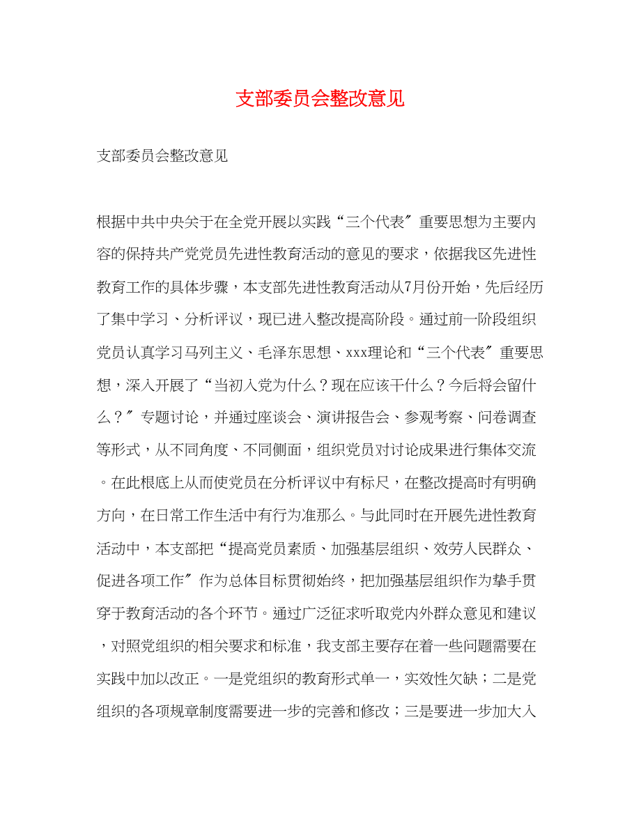 2023年支部委员会整改意见2.docx_第1页