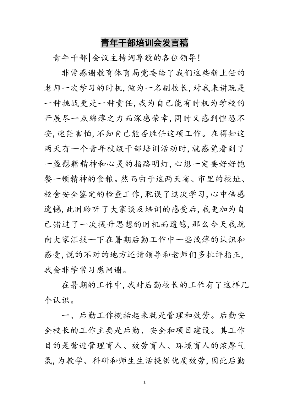 2023年青年干部培训会发言稿范文.doc_第1页