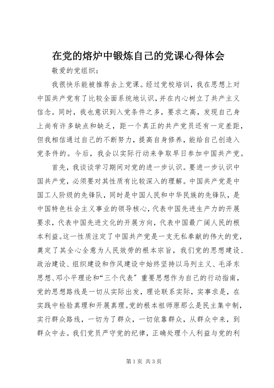 2023年在党的熔炉中锻炼自己的党课心得体会.docx_第1页