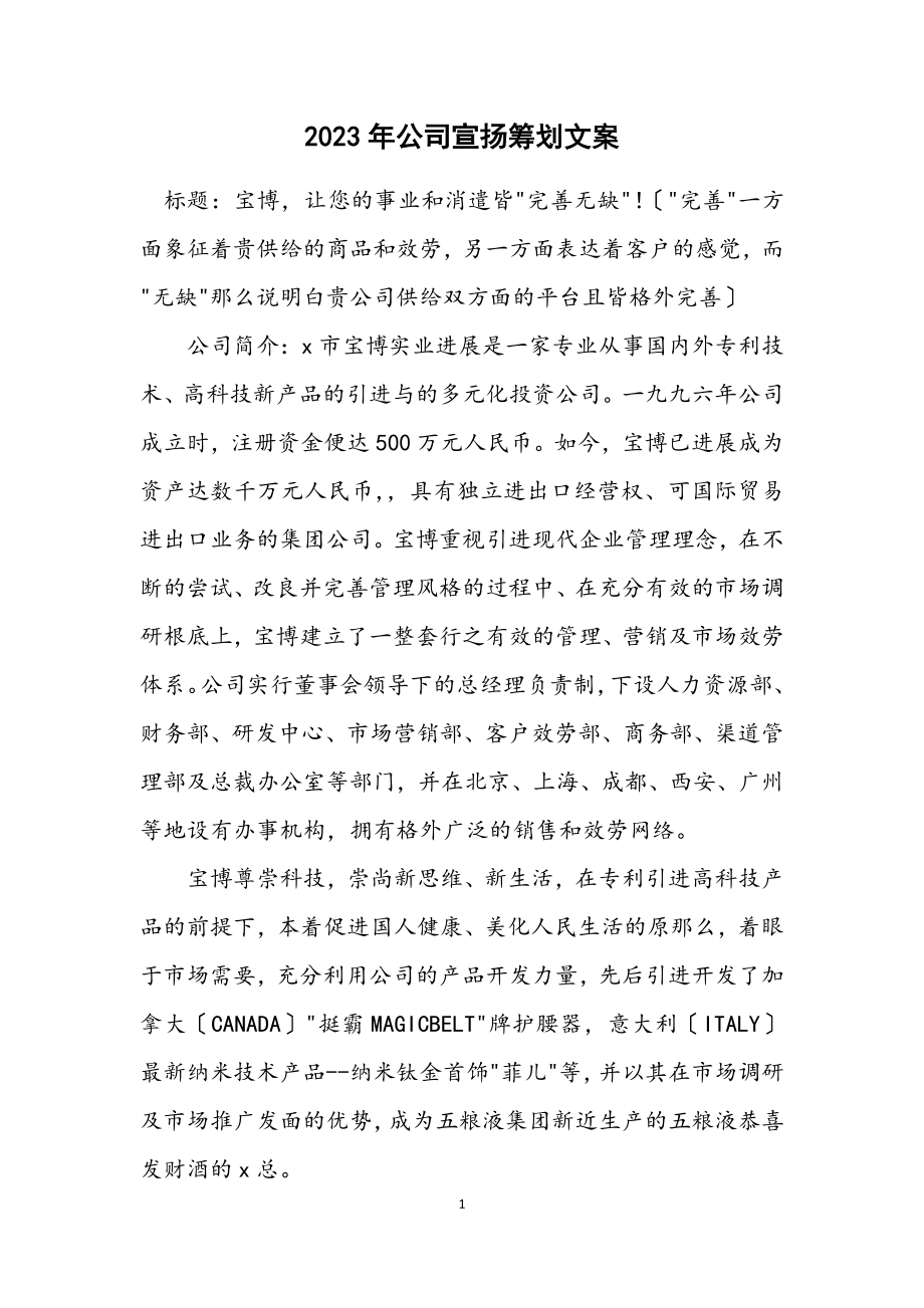 2023年公司宣传策划文案.docx_第1页