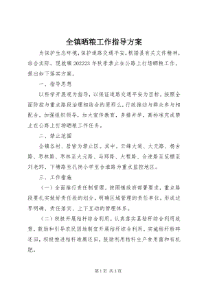 2023年全镇晒粮工作指导方案.docx