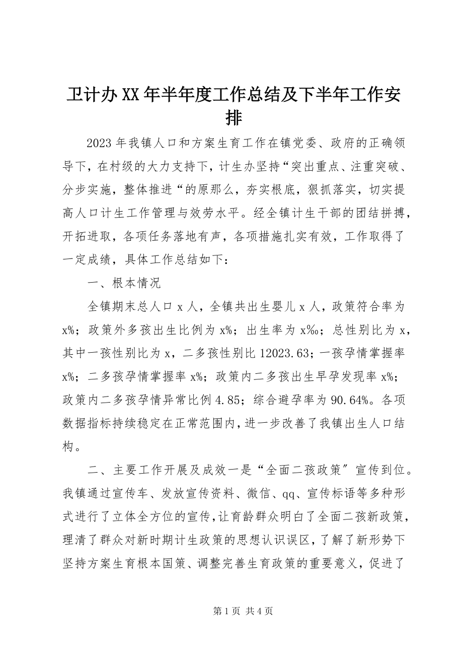 2023年卫计办半年度工作总结及下半年工作安排.docx_第1页