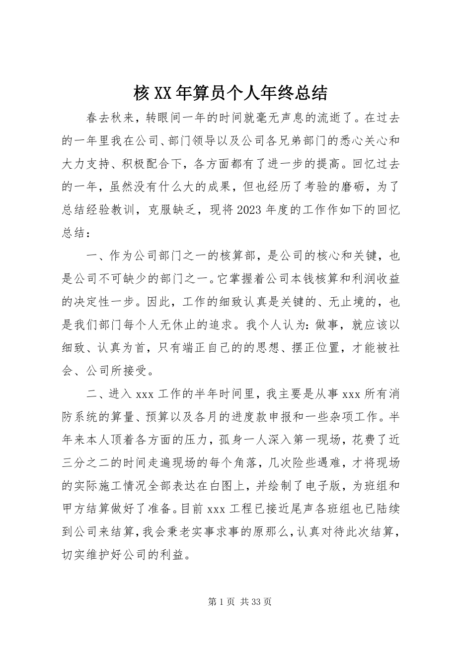 2023年核算员个人终总结.docx_第1页