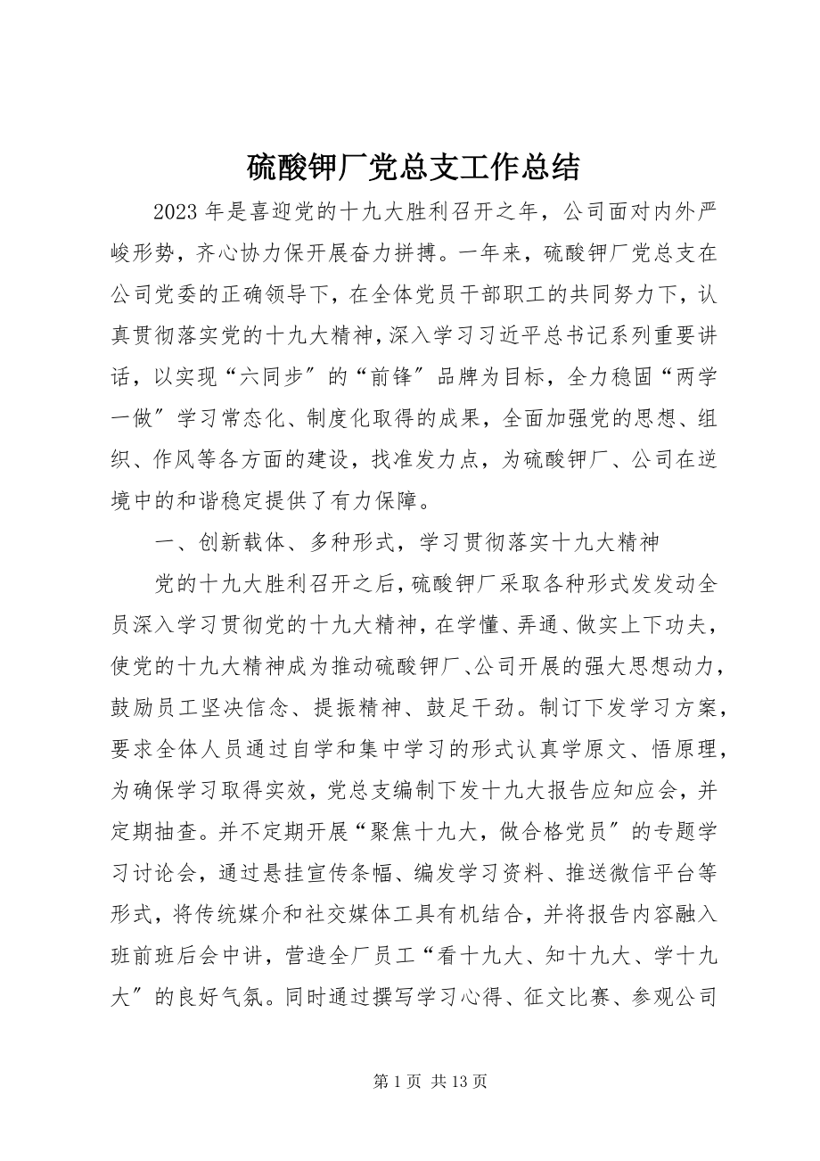 2023年硫酸钾厂党总支工作总结.docx_第1页