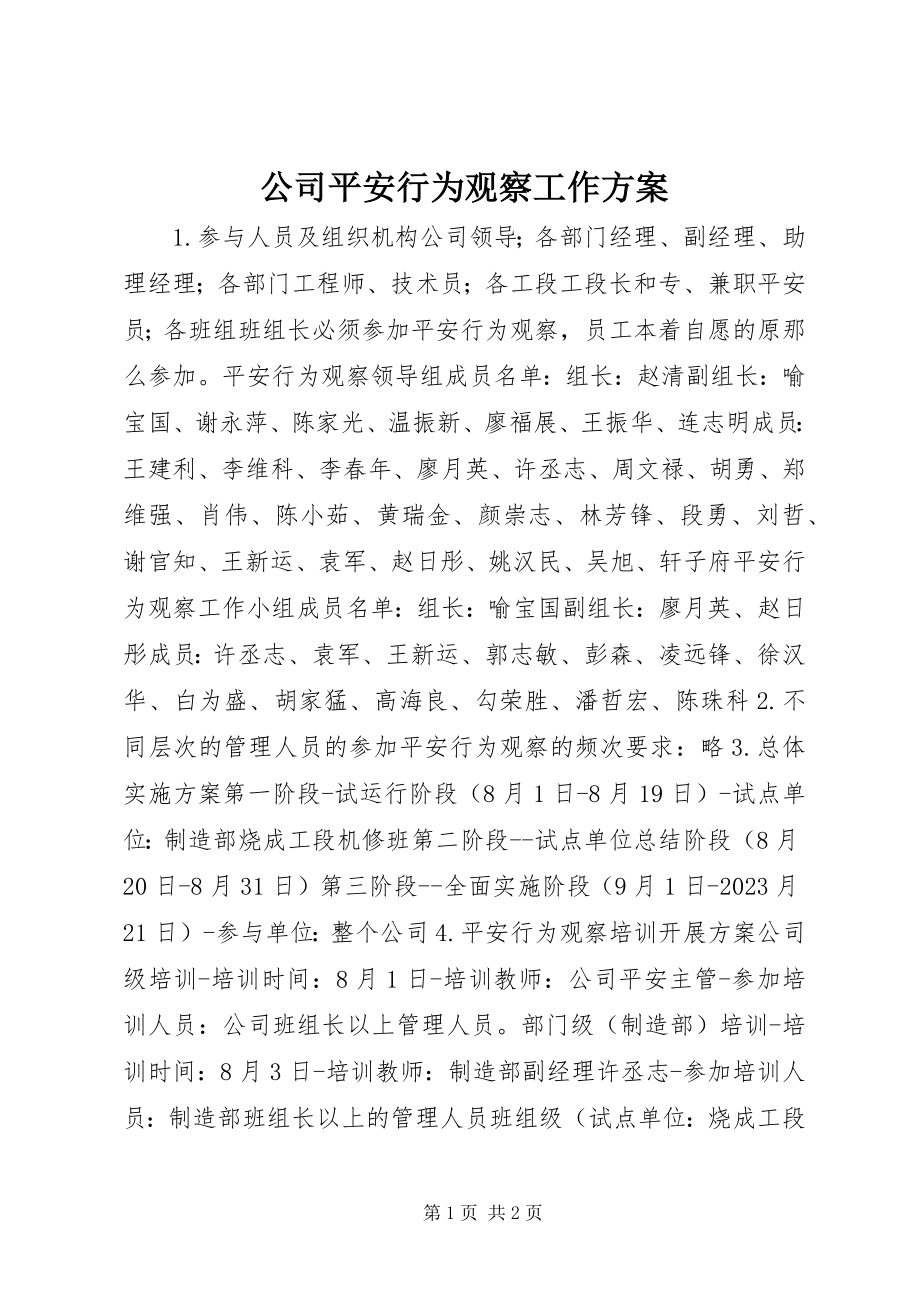 2023年公司安全行为观察工作计划.docx_第1页