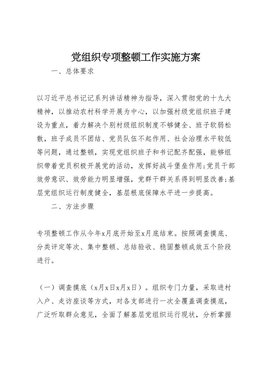 2023年党组织专项整顿工作实施方案.doc_第1页