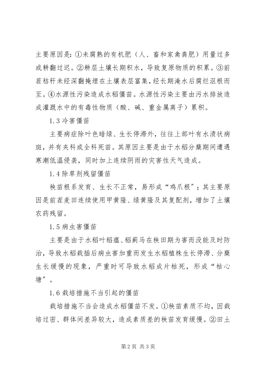 2023年水稻僵苗防治对策.docx_第2页