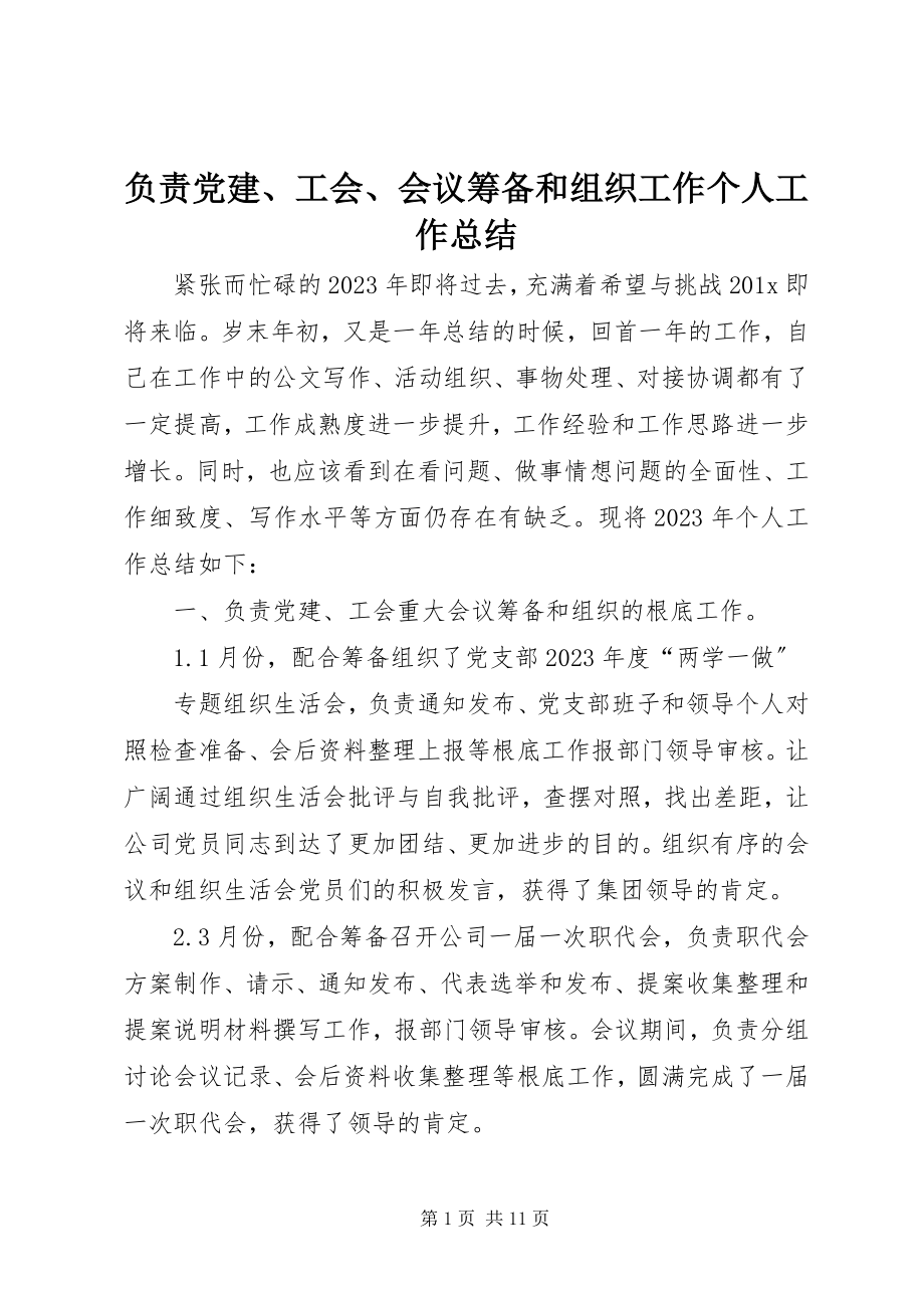 2023年负责党建、工会、会议筹备和组织工作个人工作总结.docx_第1页