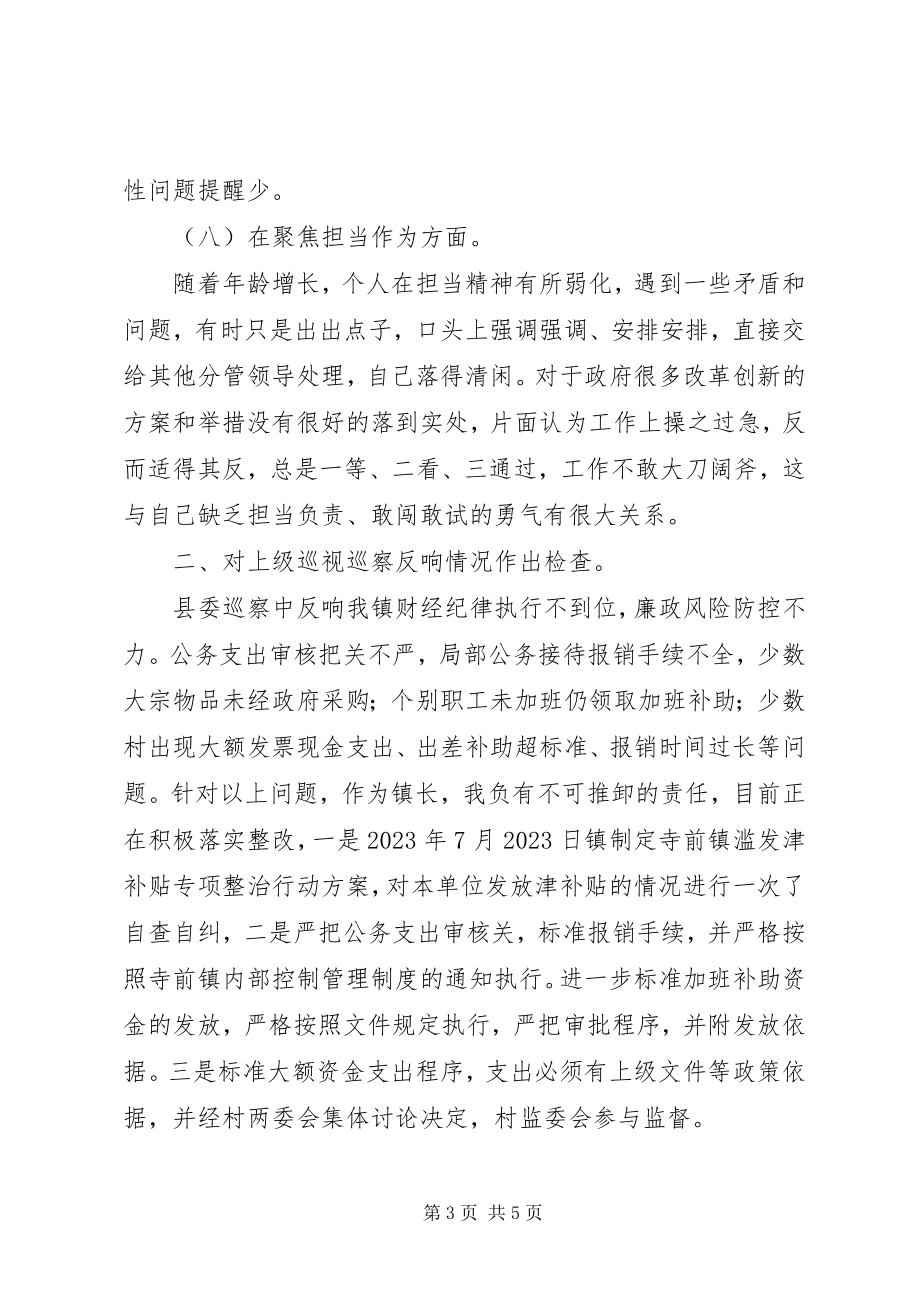 2023年“讲严立”专题警示教育民主生活会个人对照材料.docx_第3页