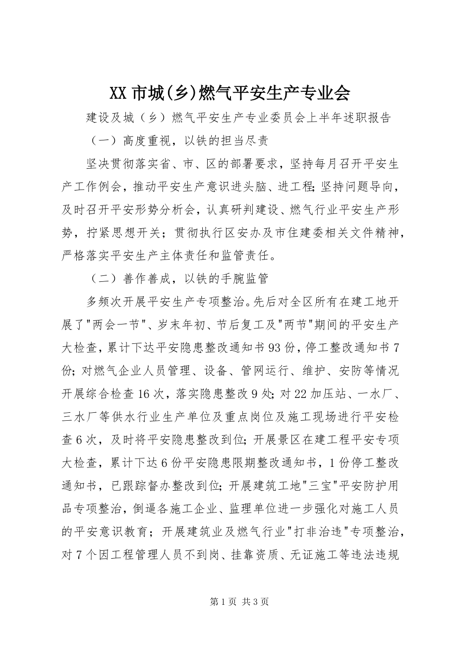 2023年XX市城乡燃气安全生产专业会新编.docx_第1页