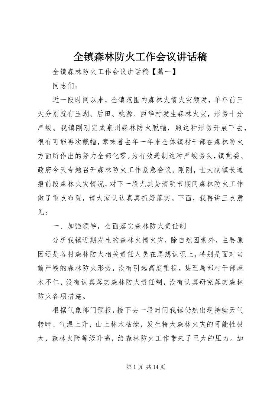 2023年全镇森林防火工作会议致辞稿.docx_第1页