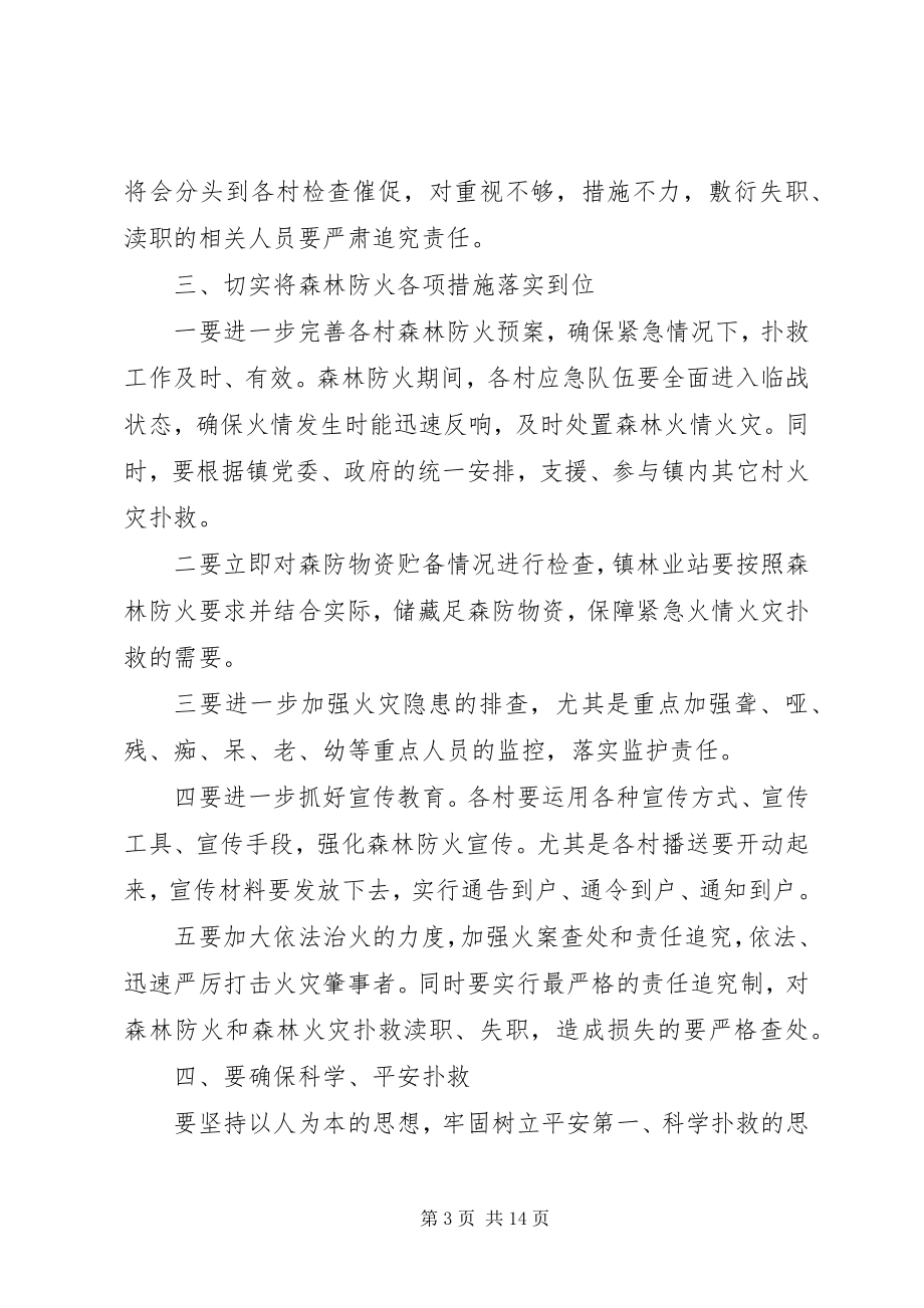 2023年全镇森林防火工作会议致辞稿.docx_第3页