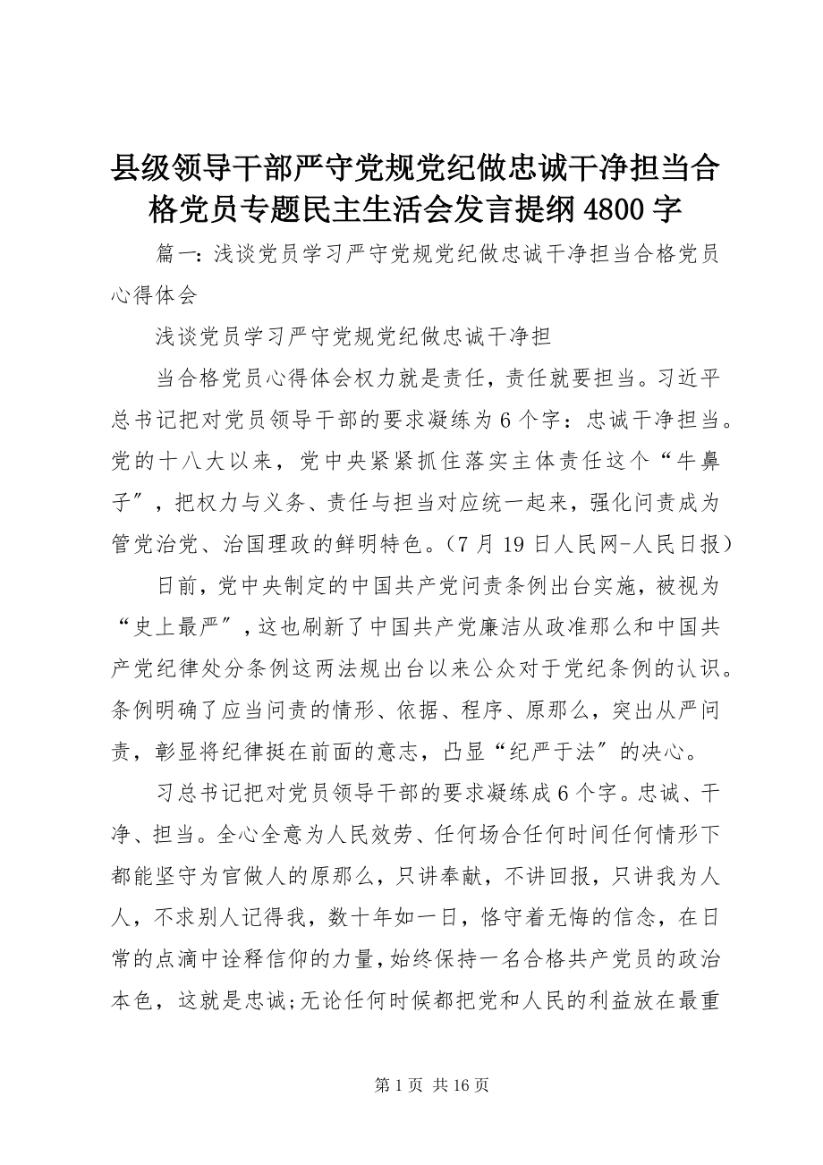 2023年县级领导干部严守党规党纪做忠诚干净担当合格党员专题民主生活会讲话提纲4800字.docx_第1页