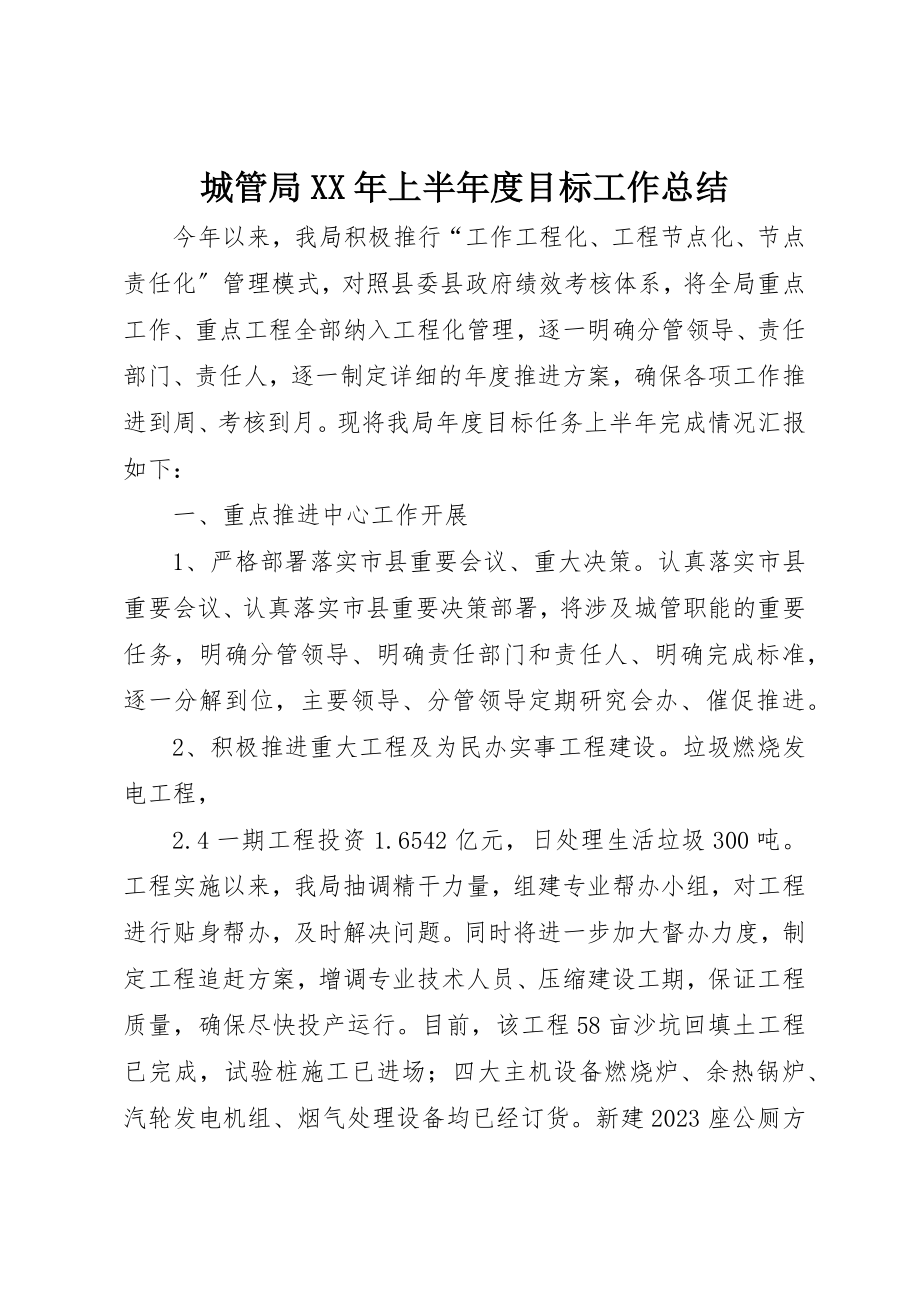 2023年城管局某年上半年度目标工作总结.docx_第1页