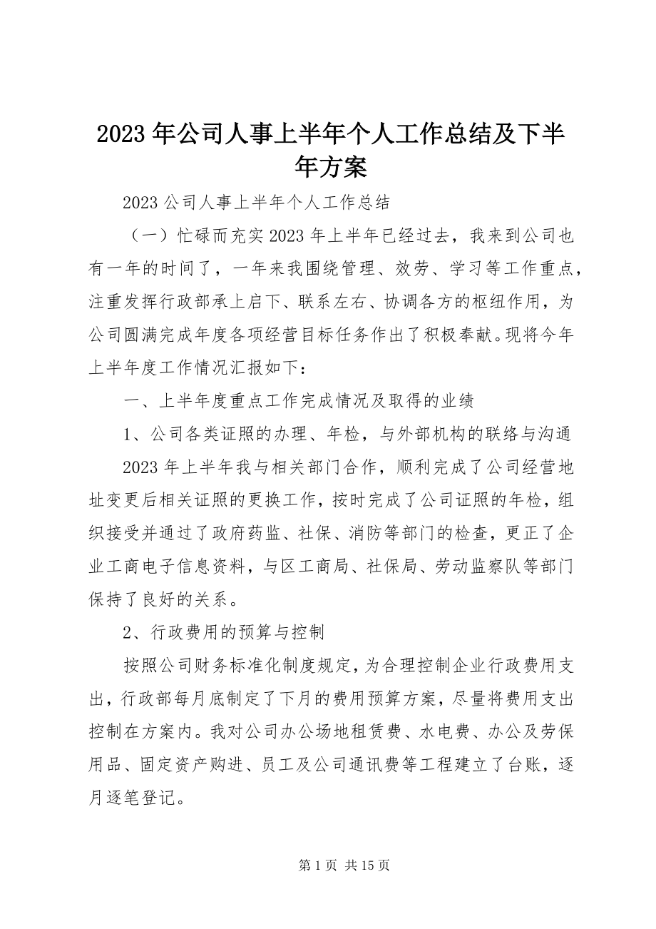 2023年公司人事上半年个人工作总结及下半计划.docx_第1页