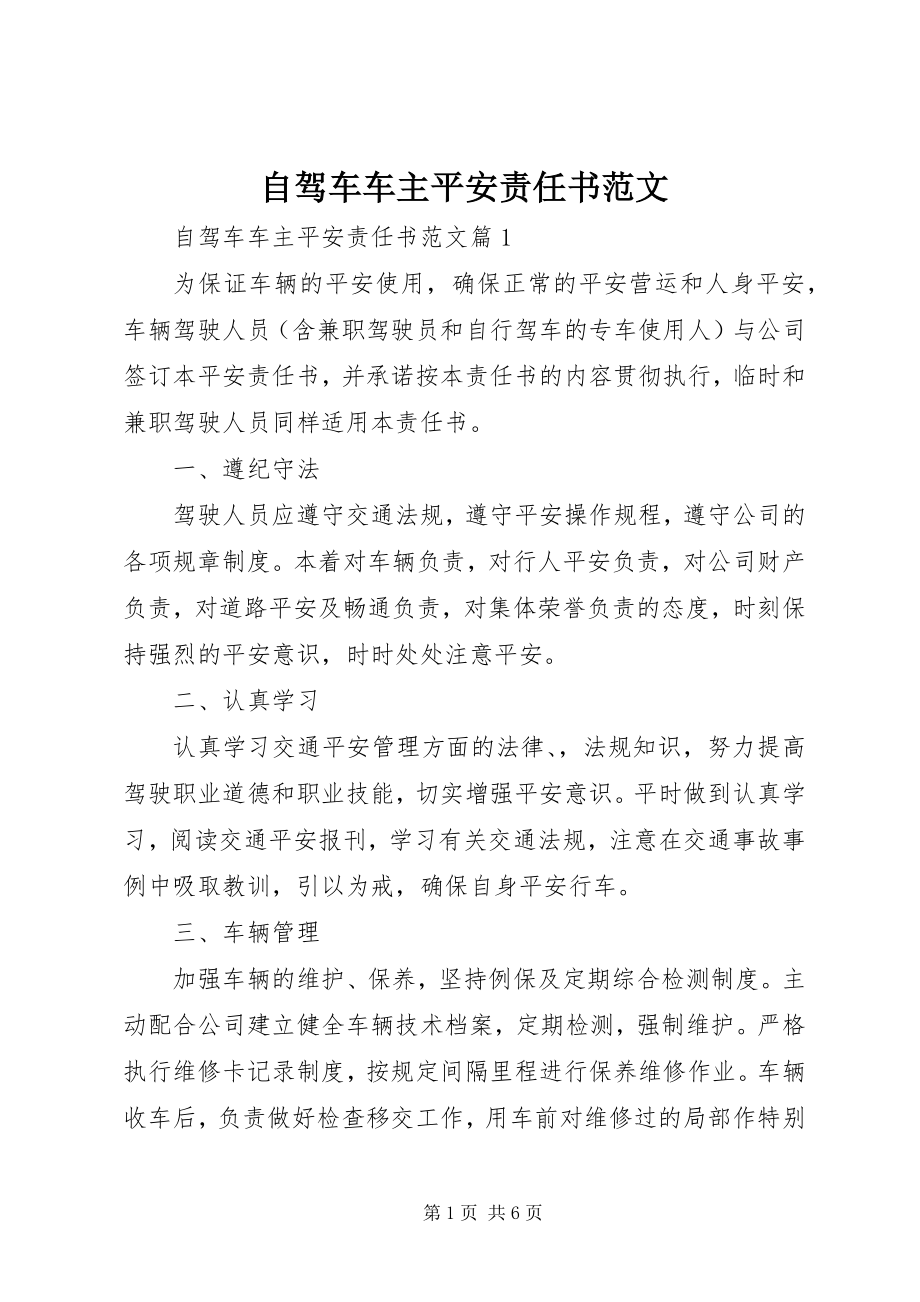 2023年自驾车车主安全责任书.docx_第1页