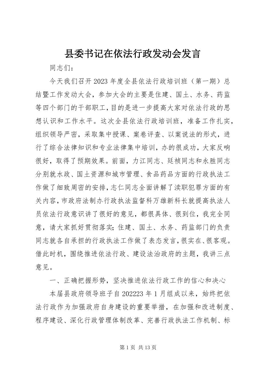 2023年县委书记在依法行政动员会讲话.docx_第1页