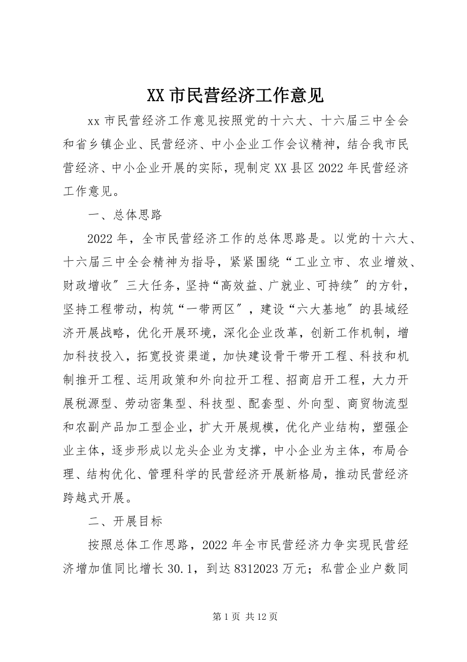 2023年XX市民营经济工作意见新编.docx_第1页