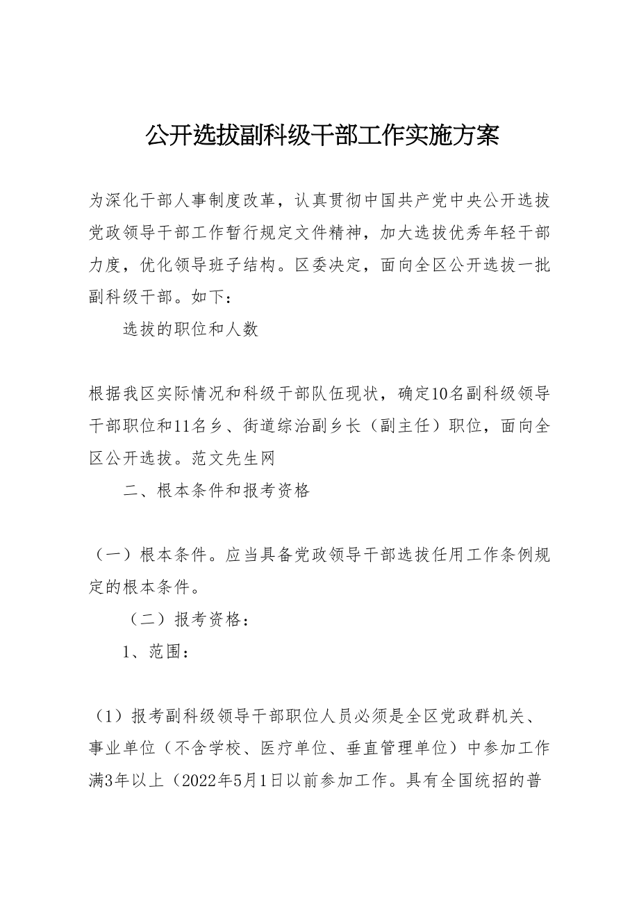 2023年公开选拔副科级干部工作实施方案 4.doc_第1页