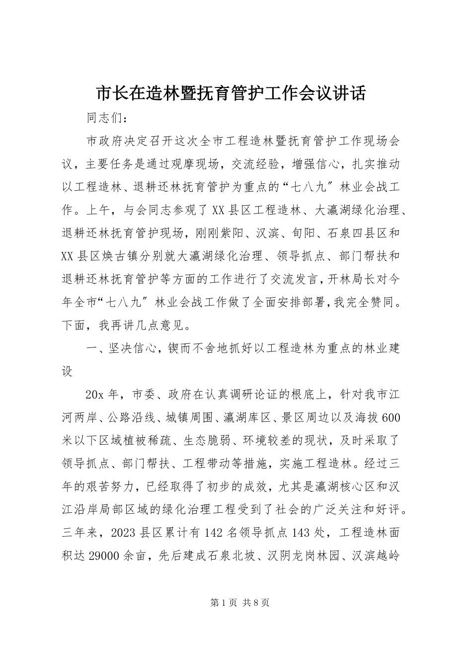 2023年市长在造林暨抚育管护工作会议致辞.docx_第1页