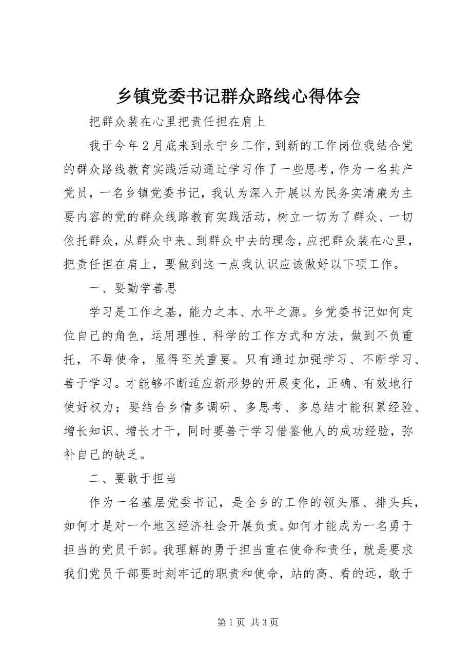 2023年乡镇党委书记群众路线心得体会.docx_第1页