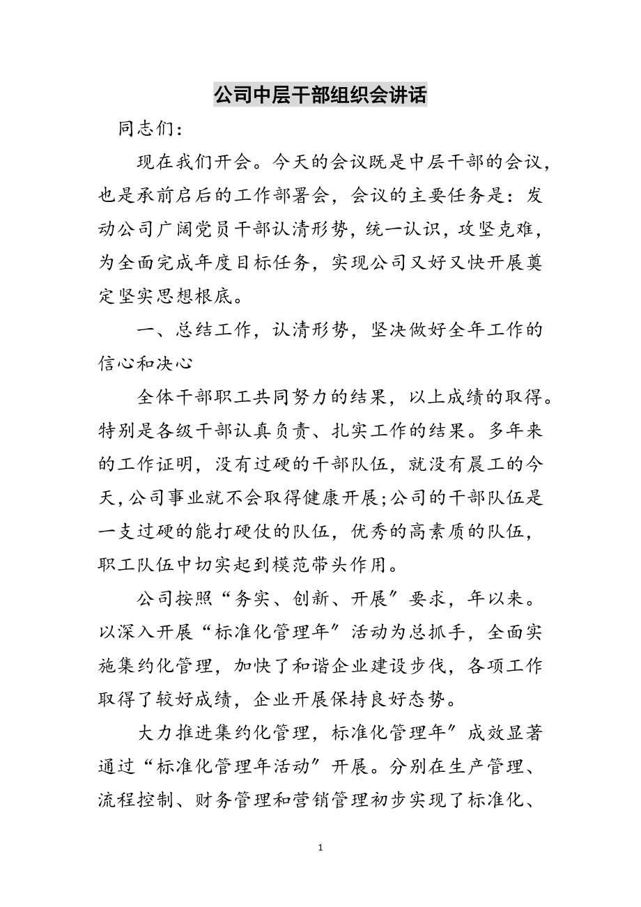 2023年公司中层干部组织会讲话范文.doc_第1页